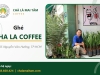 Cà phê chà là - từ nông trại đến ly nước tại Cha La Coffee