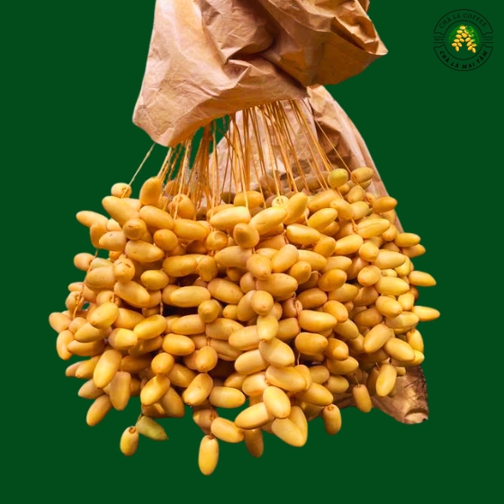 Chà Là Tươi Tại Vườn